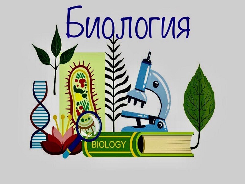 Биология.